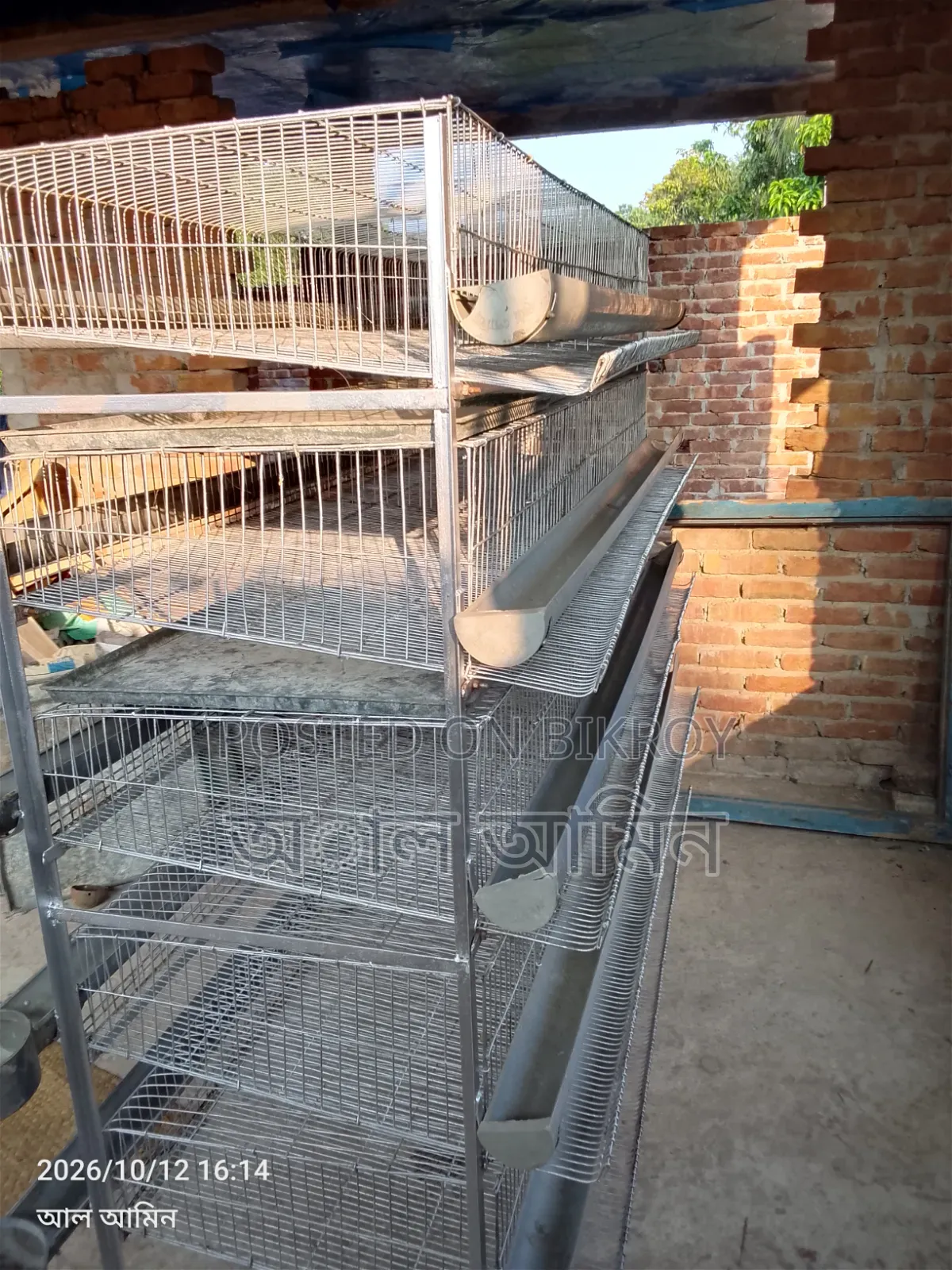 Quail bird cage for sale