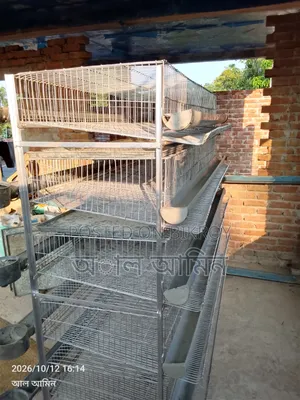 Quail bird cage for sale