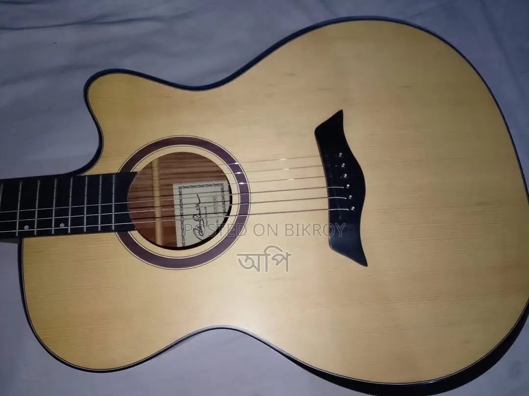 Adam Smith AD570 Acoustic Guitar