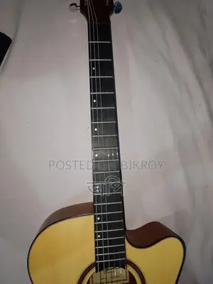 Adam Smith AD570 Acoustic Guitar