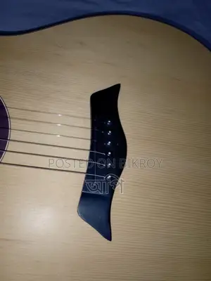 Adam Smith AD570 Acoustic Guitar