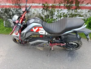 সালিডা জেডওয়াই ২০২৫ সিলভার