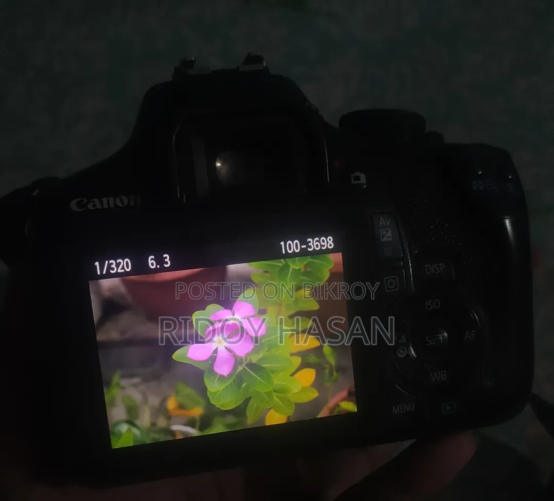 Canon 1300D With Prime Lens 50mm