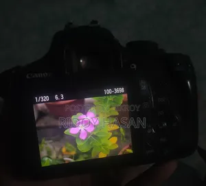 Canon 1300D With Prime Lens 50mm