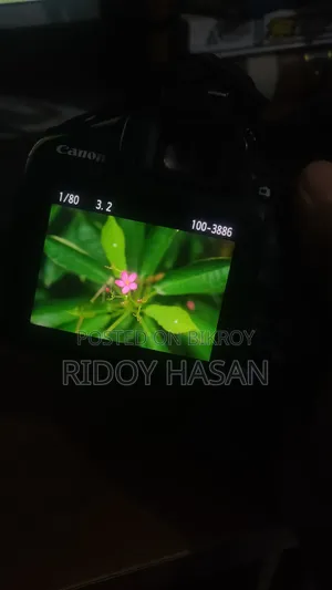 Canon 1300D With Prime Lens 50mm