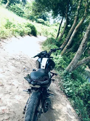 TVS Apache RTR 160 4 Valve 2019 Black