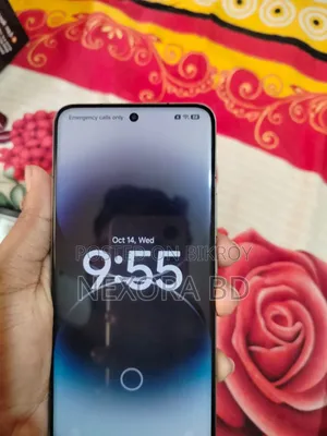 শাওমি ১৫ প্রো ২৫৬ জিবি গ্রে