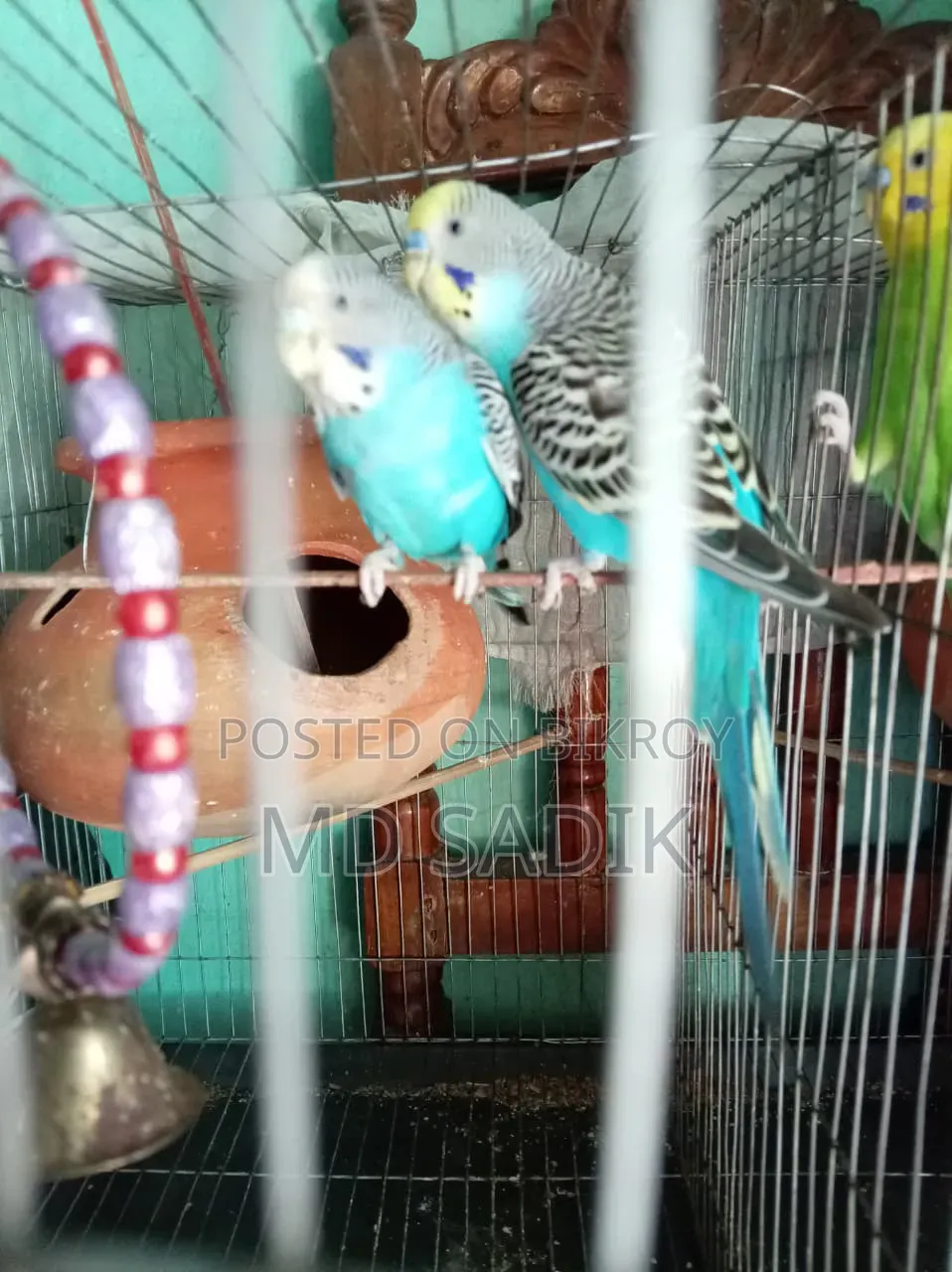 বাজিগার বিক্রি হবে
