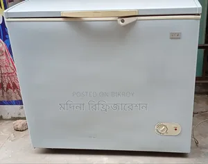 Eco Plus Deep Freezer 200 Liters