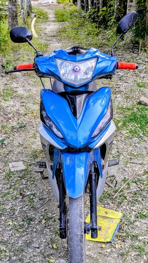 Runner Kite + 110 2018 Blue