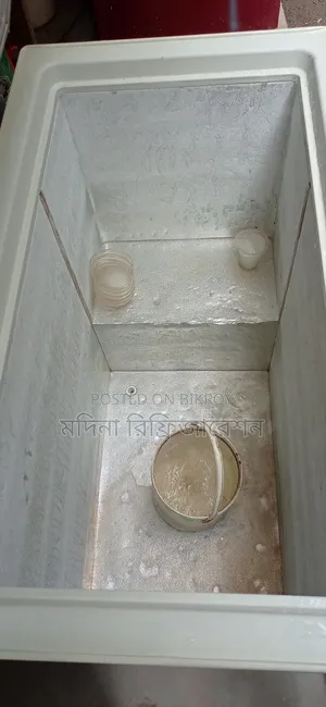 ইকো প্লাস ডিপ ফ্রিজ ২০০ লিটার