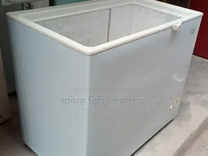 ইকো প্লাস ডিপ ফ্রিজ ২০০ লিটার