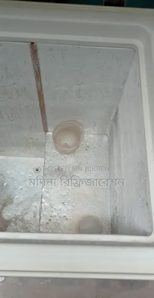 ইকো প্লাস ডিপ ফ্রিজ ২০০ লিটার