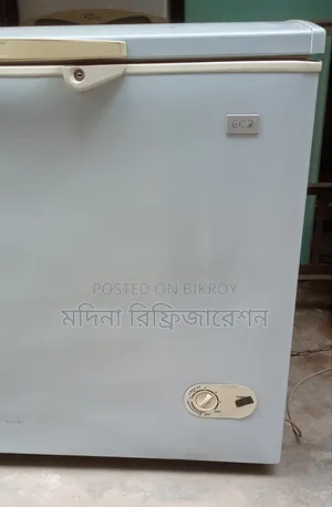 ইকো প্লাস ডিপ ফ্রিজ ২০০ লিটার