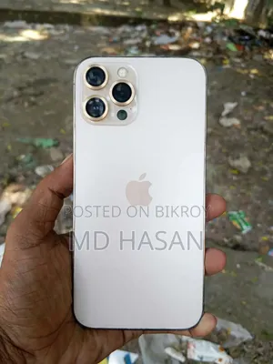 অ্যাপল আইফোন ১২ প্রো ম্যাক্স ২৫৬ জিবি রোজ গোল্ড