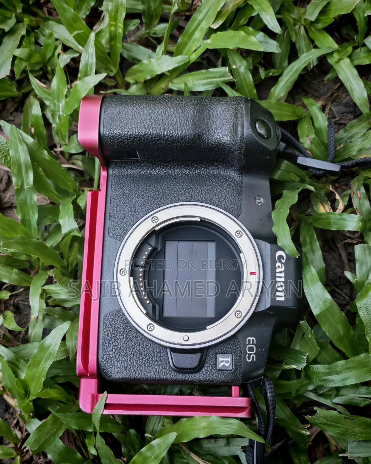 Canon Eos R and Lens 70-200mm 2.8