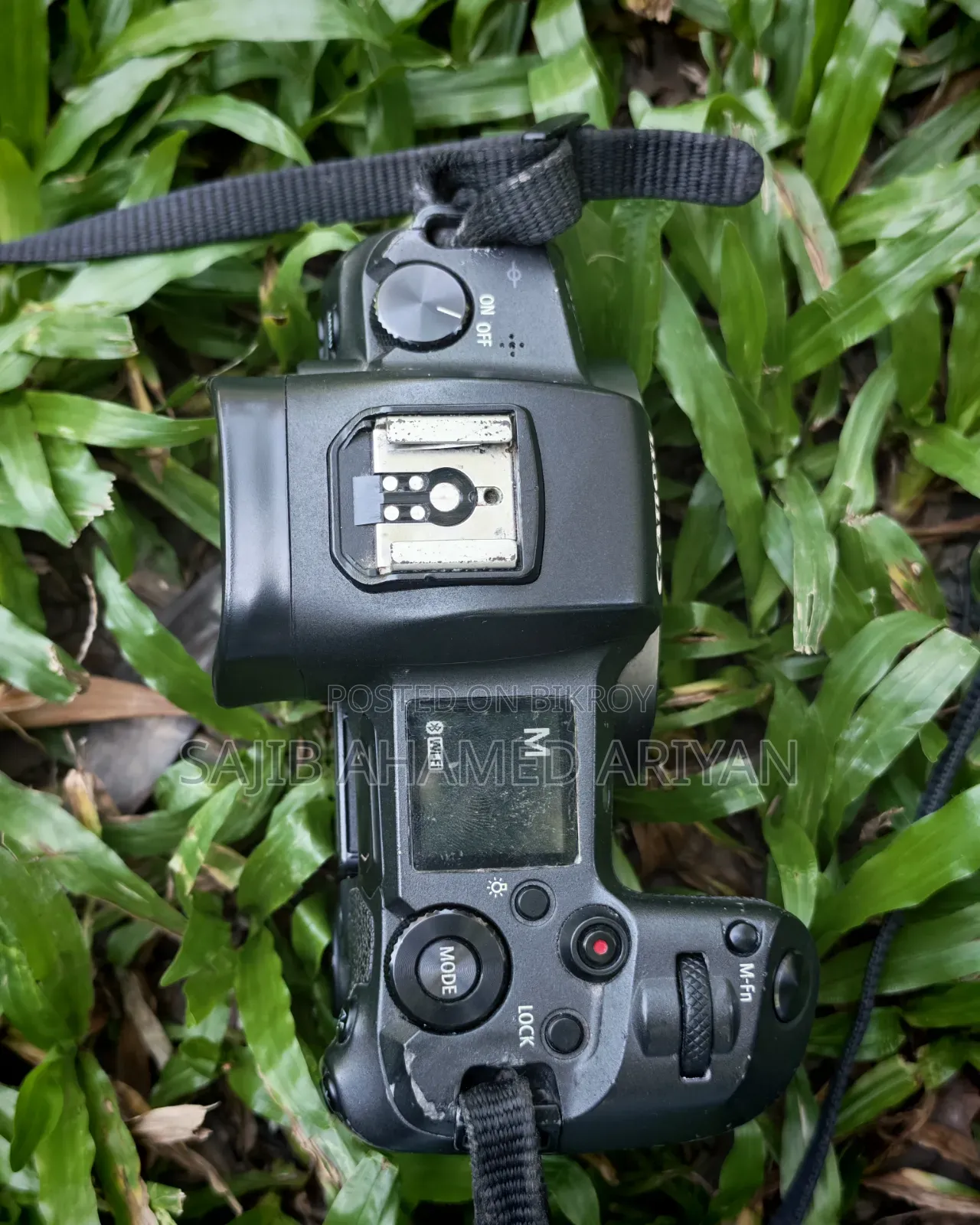 Canon Eos R and Lens 70-200mm 2.8