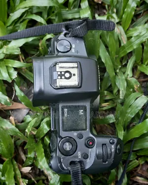 Canon Eos R and Lens 70-200mm 2.8