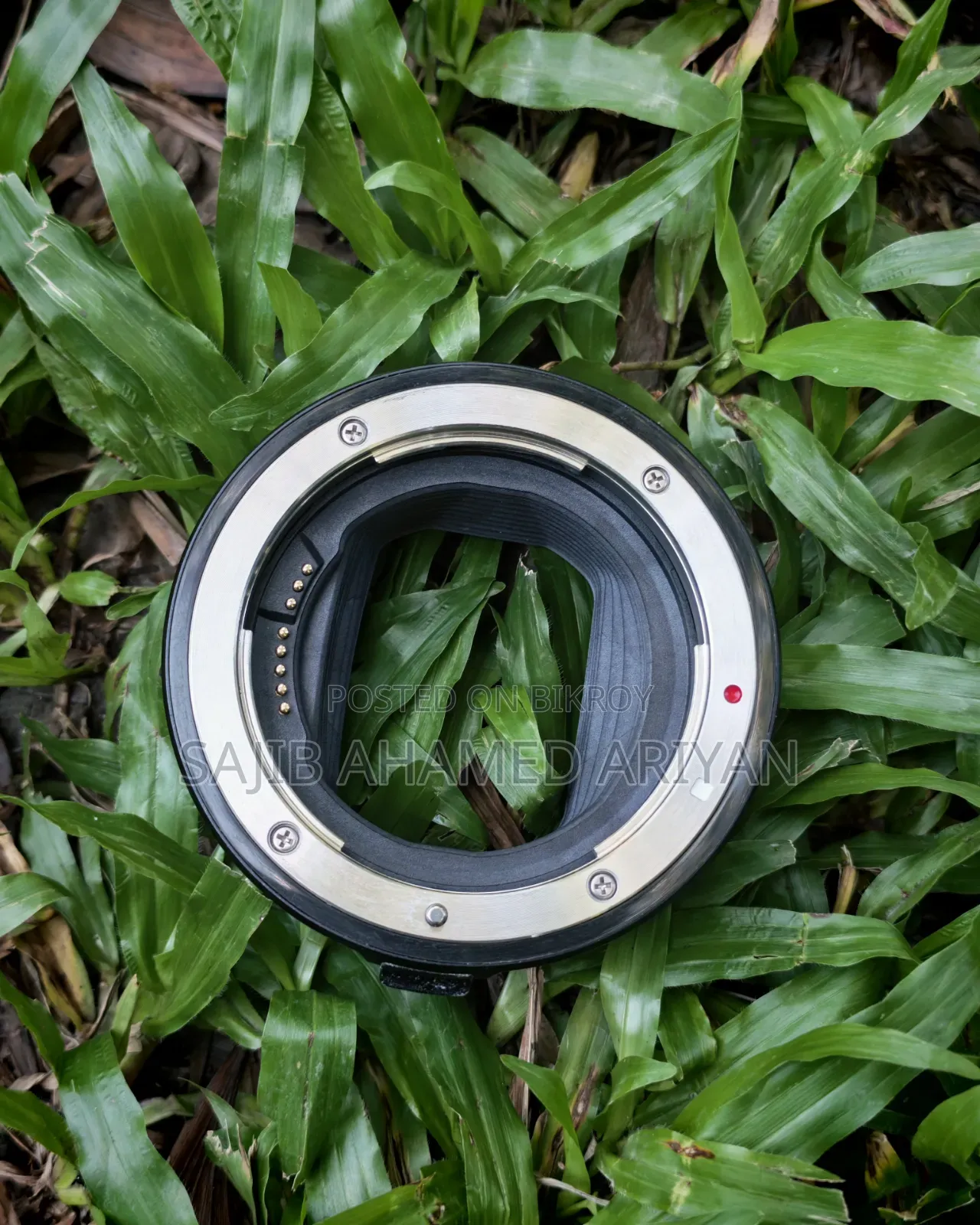 Canon Eos R and Lens 70-200mm 2.8