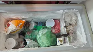 Electra 200 Liter Deep Fridge
