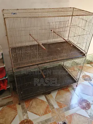 Bird Cage 18\36