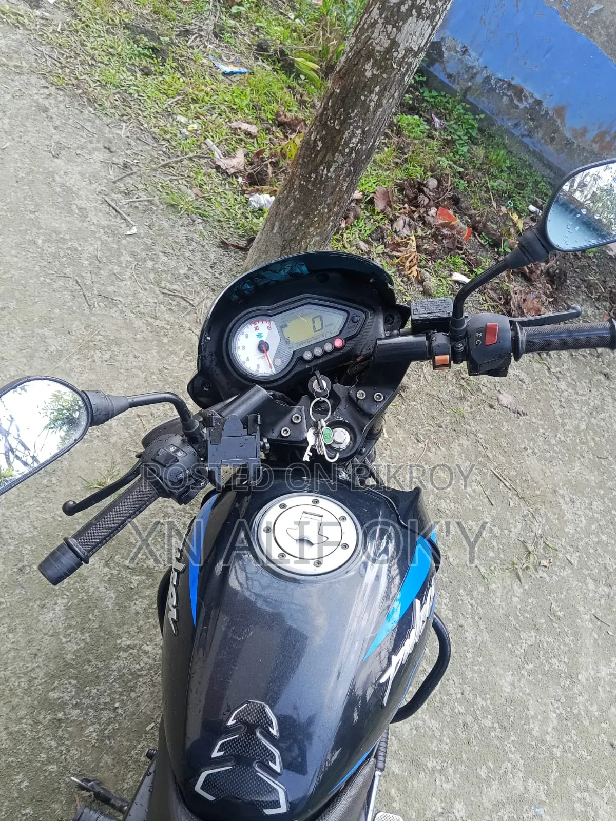 Bajaj Pulsar 150 2019 Blue