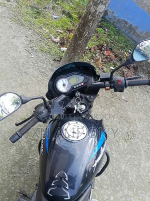 Bajaj Pulsar 150 2019 Blue