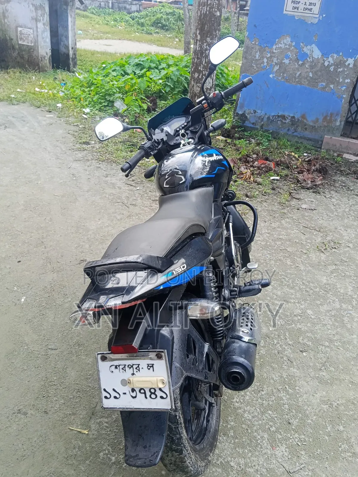 Bajaj Pulsar 150 2019 Blue