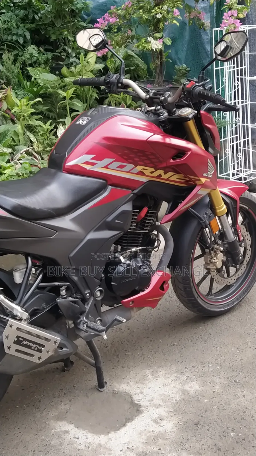 Honda Hornet 2.0 2024 Red