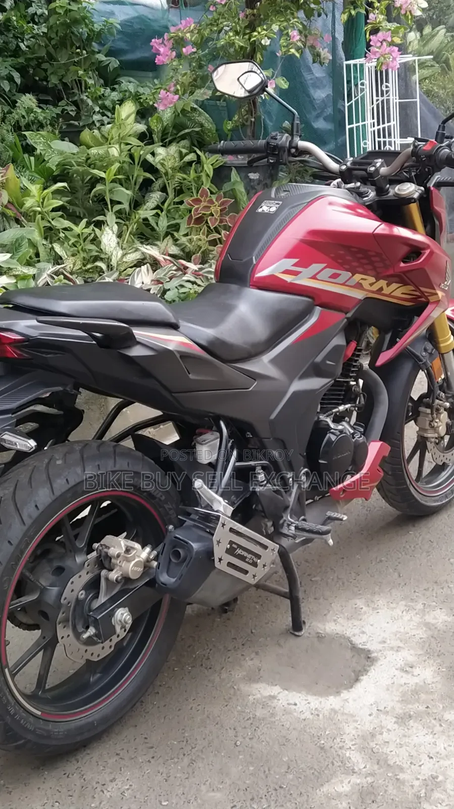 Honda Hornet 2.0 2024 Red