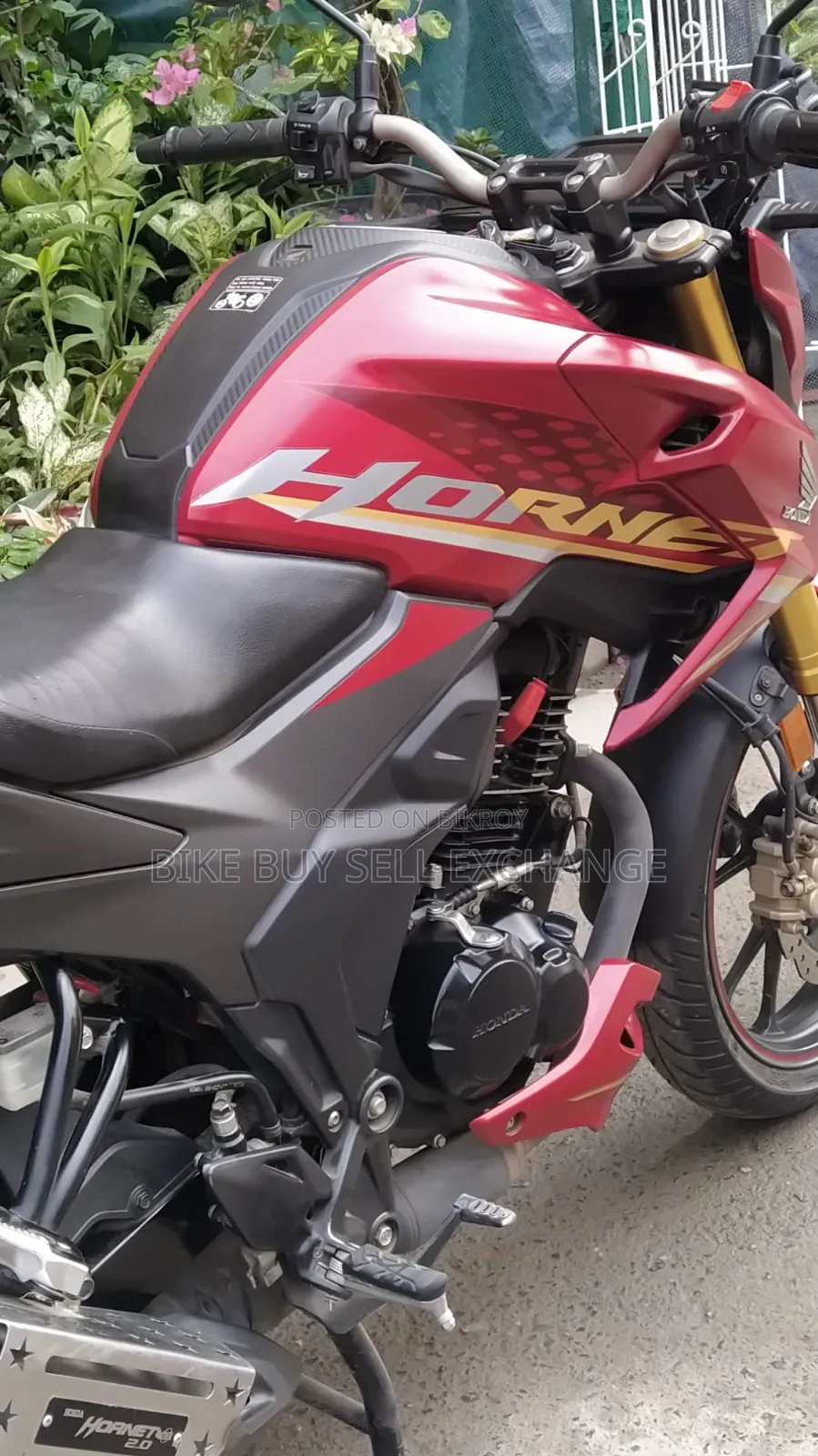 Honda Hornet 2.0 2024 Red
