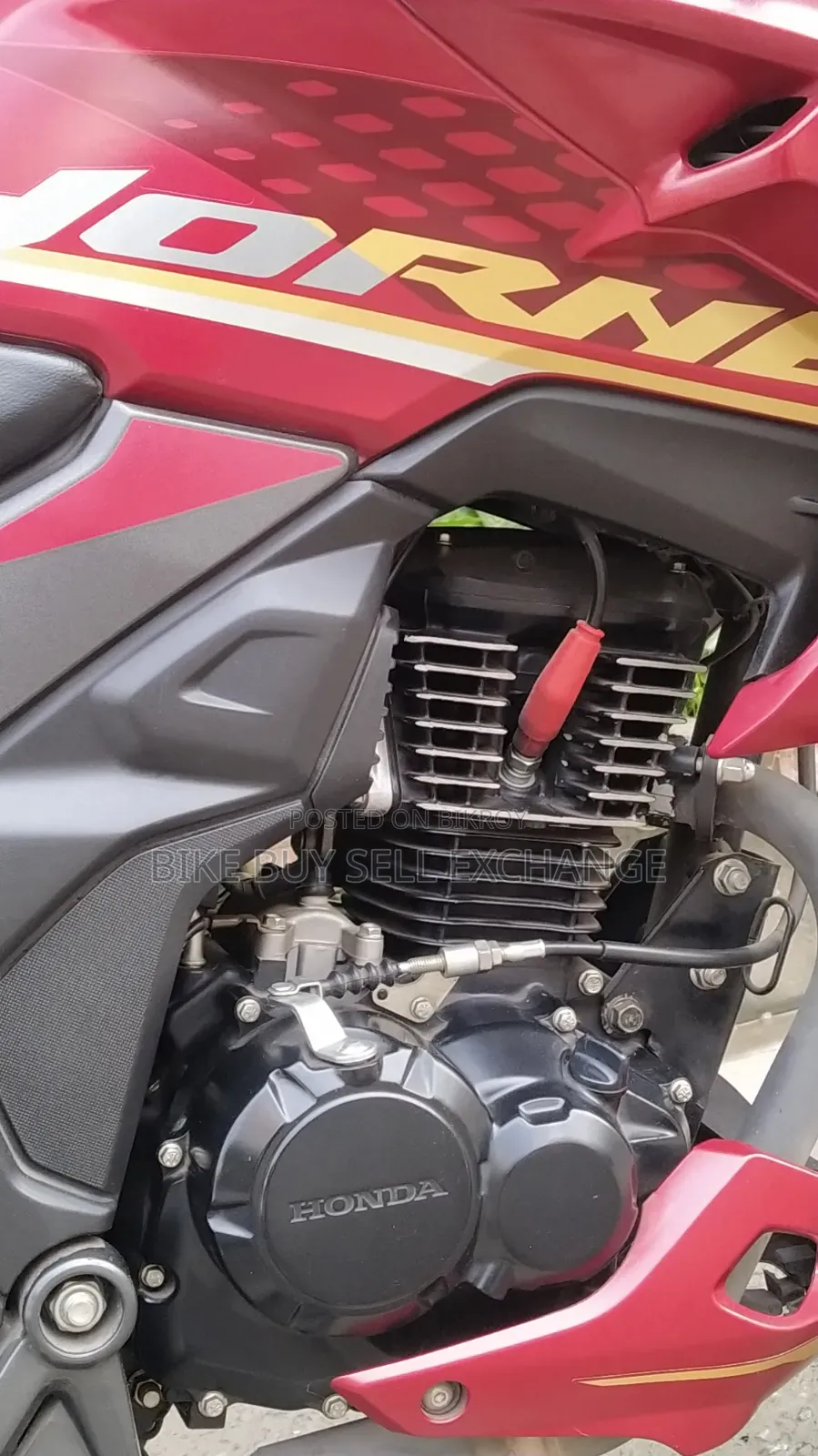 Honda Hornet 2.0 2024 Red