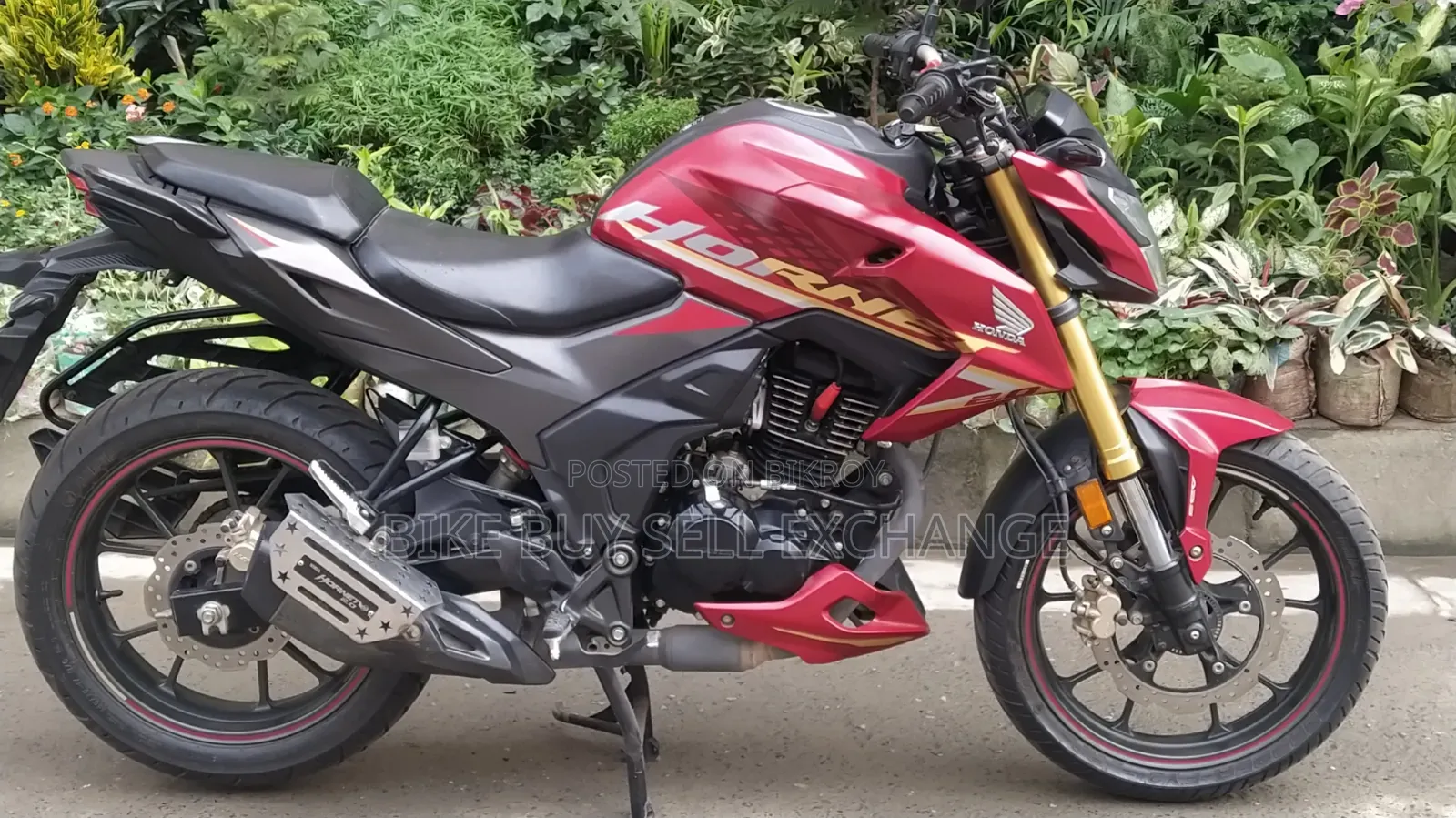Honda Hornet 2.0 2024 Red