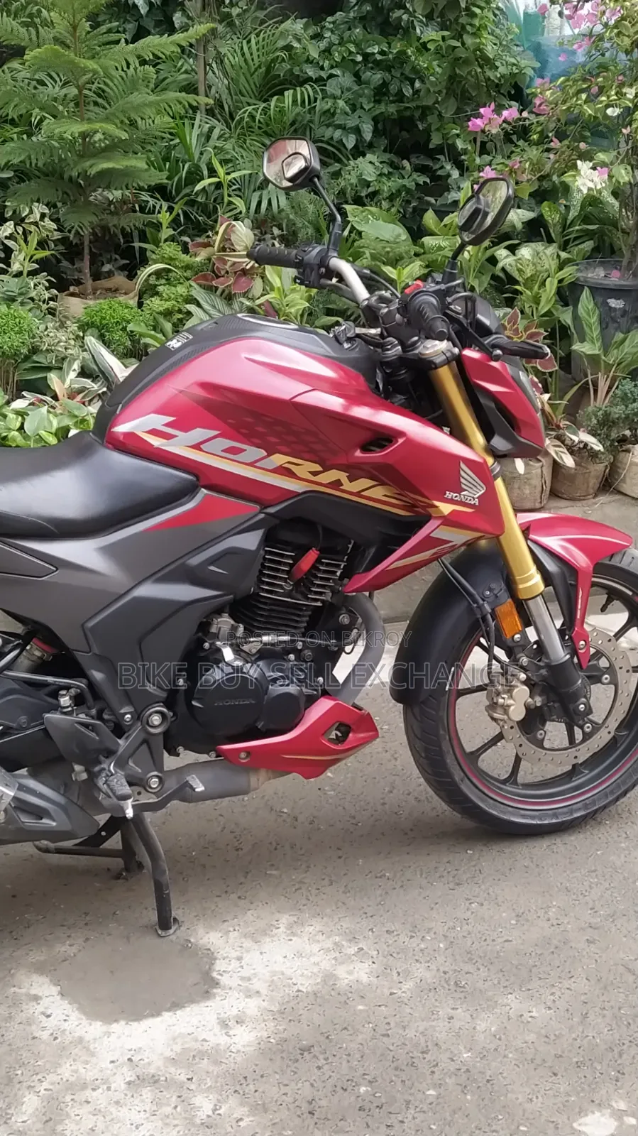 Honda Hornet 2.0 2024 Red