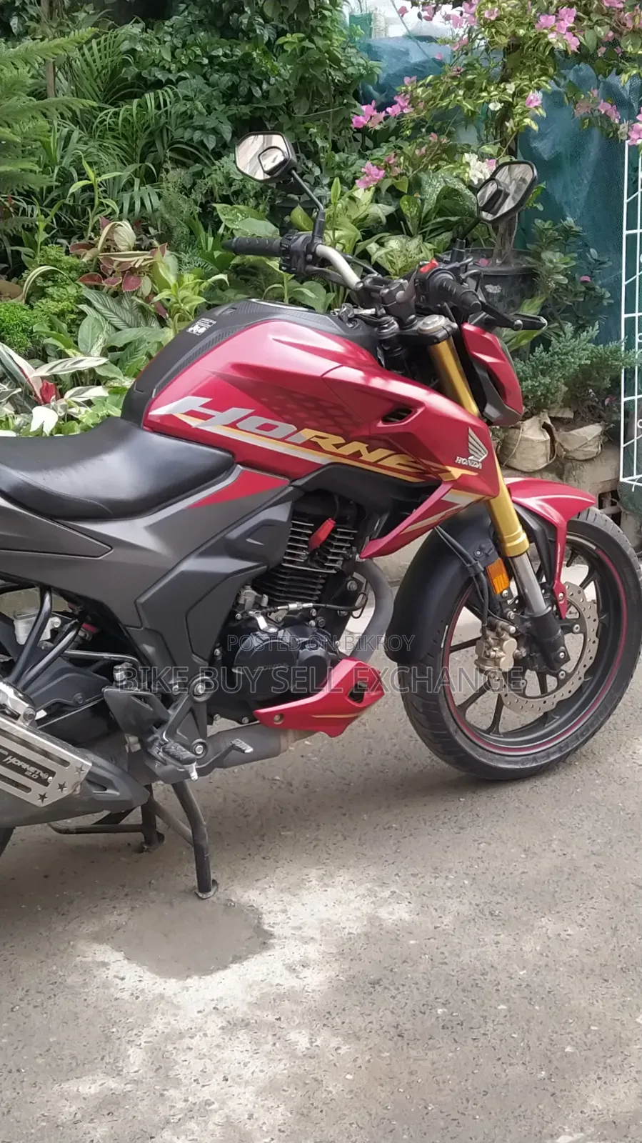 Honda Hornet 2.0 2024 Red