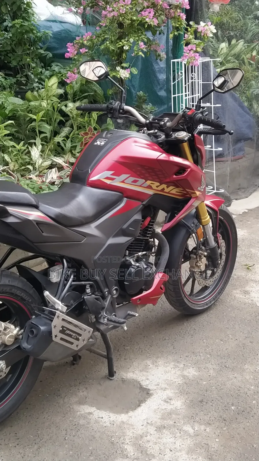 Honda Hornet 2.0 2024 Red