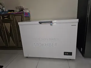 Deep Freezer - Large (316 L)