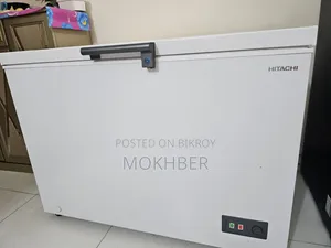 Deep Freezer - Large (316 L)