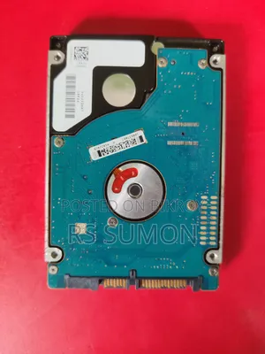 250 GB Hard Disk Drives