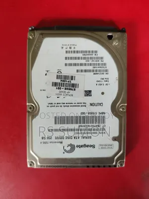 250 GB Hard Disk Drives