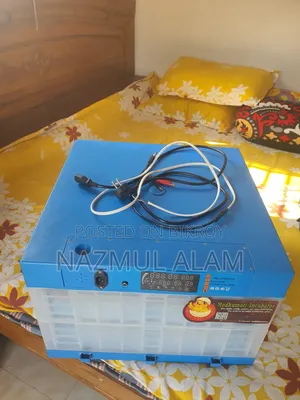 Automatic China Incubator