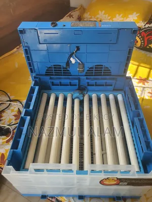 Automatic China Incubator