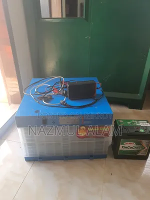 Automatic China Incubator
