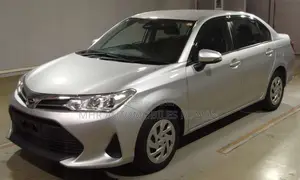 Toyota Axio 2021 Silver
