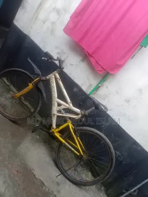 সাইকেলটি বিক্রি করব।