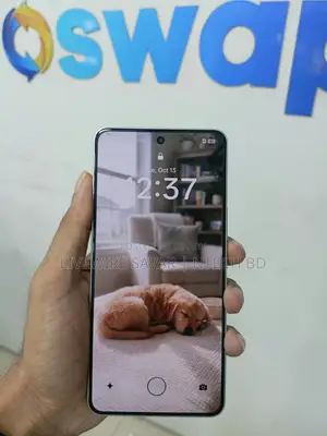 Oppo 256 GB Silver