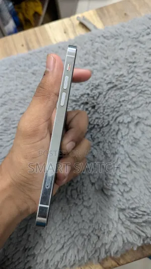 অ্যাপল আইফোন ১২ প্রো ২৫৬ জিবি হোয়াইট