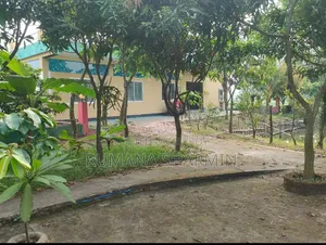 Sky View Cafe for rent.