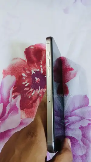 অ্যাপল আইফোন ১৫ প্রো ম্যাক্স ২৫৬ জিবি