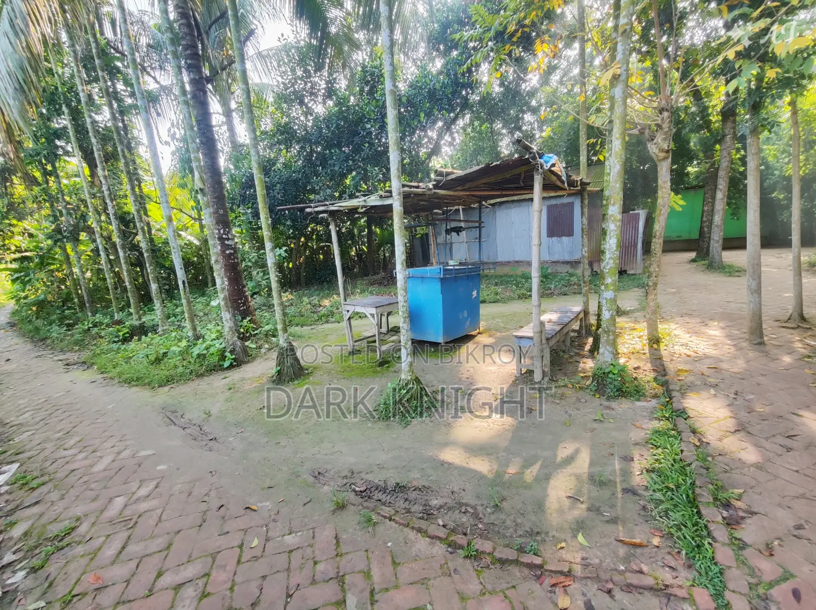 ঝিনাইদহের ১ নম্বর ওয়ার্ডের পবহাটি জর্দারপাড়া এলাকায় ৩ শতাংশ জমি